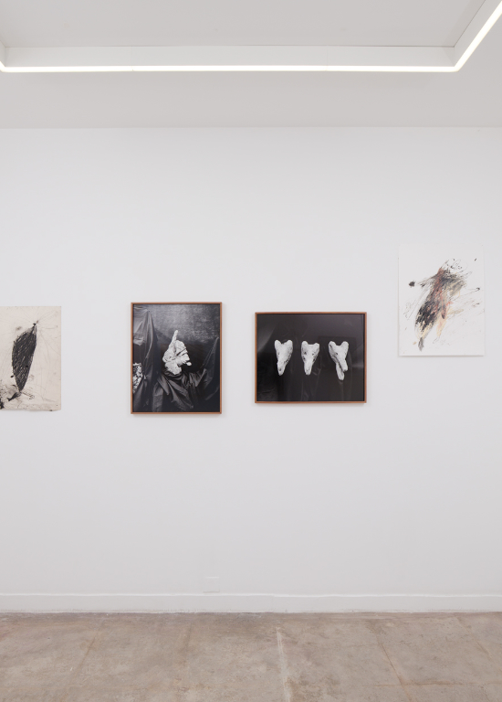 Un oiseau passe. Je le suis