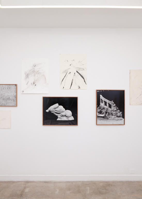 Un oiseau passe. Je le suis