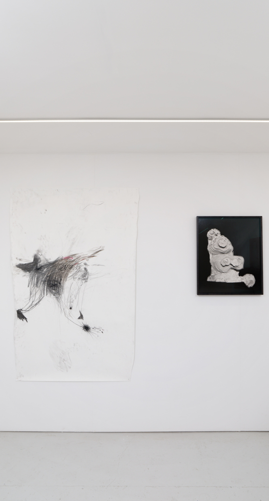 Un oiseau passe. Je le suis