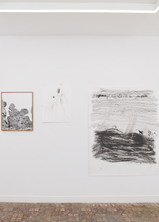 Un oiseau passe. Je le suis